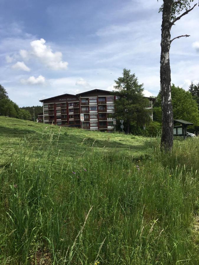 Appartement Schwarzwaldglueck à Schluchsee Extérieur photo