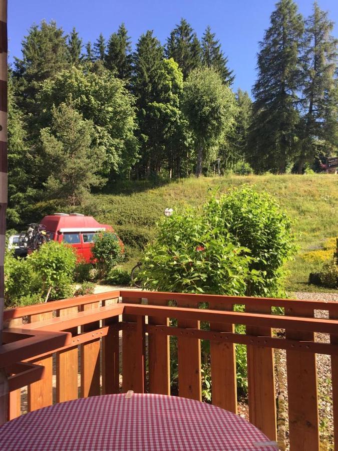 Appartement Schwarzwaldglueck à Schluchsee Extérieur photo