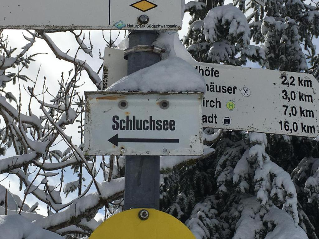Appartement Schwarzwaldglueck à Schluchsee Extérieur photo