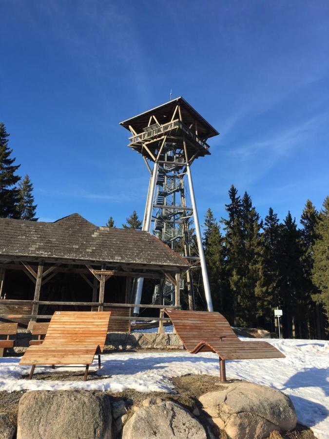 Appartement Schwarzwaldglueck à Schluchsee Extérieur photo